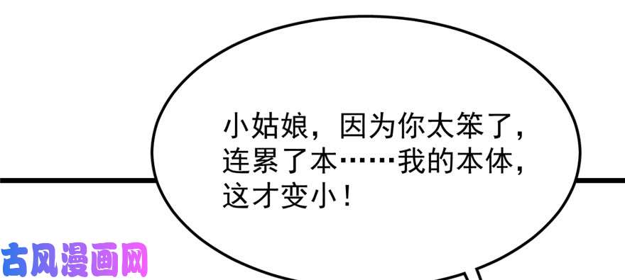 毒步天下：特工神医小兽妃41