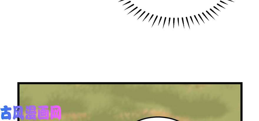 毒步天下：特工神医小兽妃41