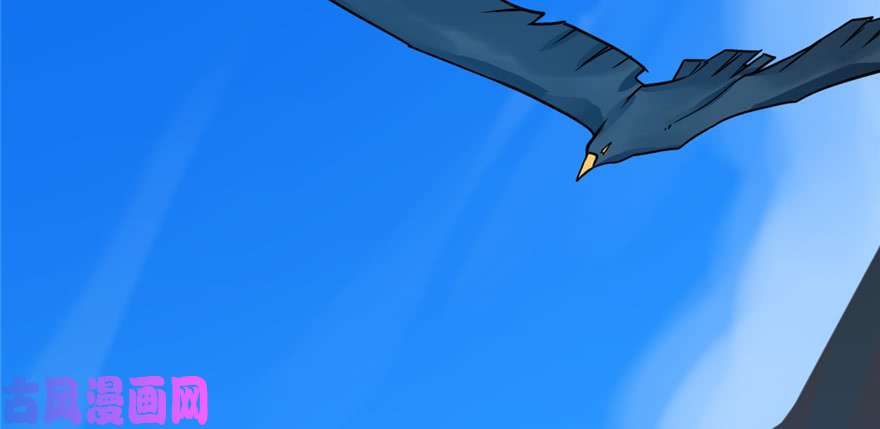 毒步天下：特工神医小兽妃41