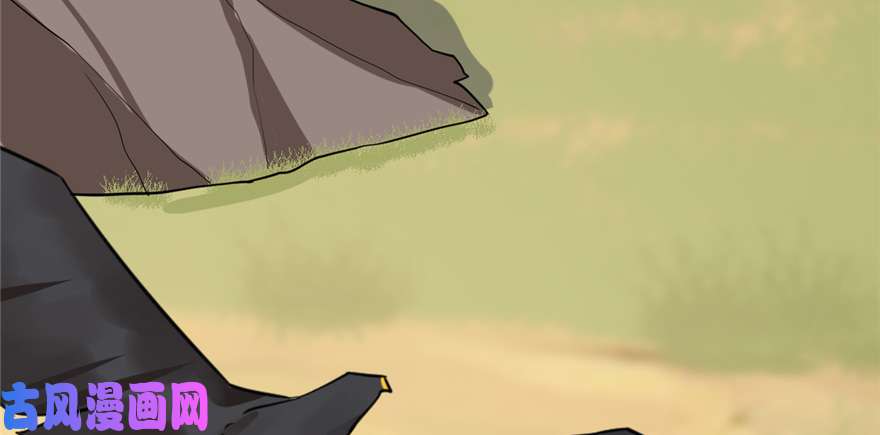 毒步天下：特工神医小兽妃41