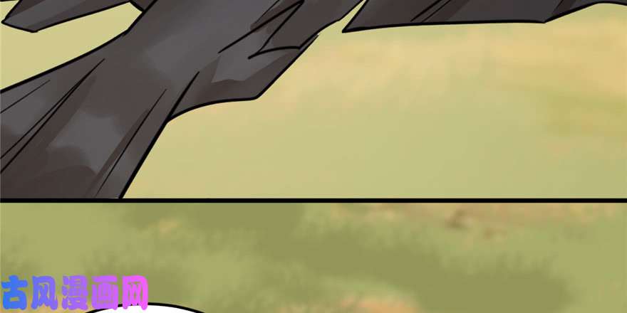 毒步天下：特工神医小兽妃41