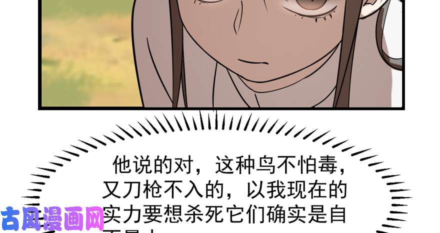 毒步天下：特工神医小兽妃41