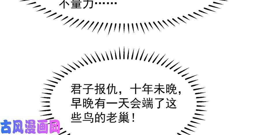 毒步天下：特工神医小兽妃41