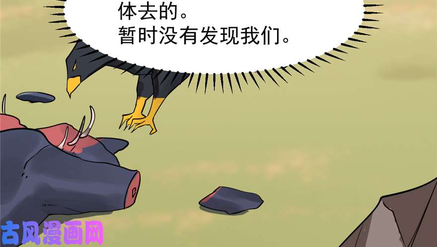 毒步天下：特工神医小兽妃41