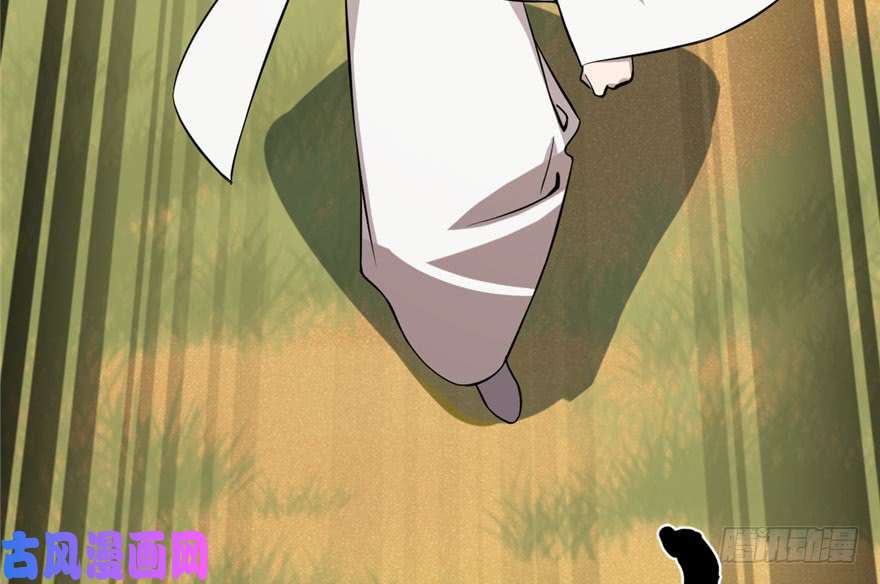 毒步天下：特工神医小兽妃42