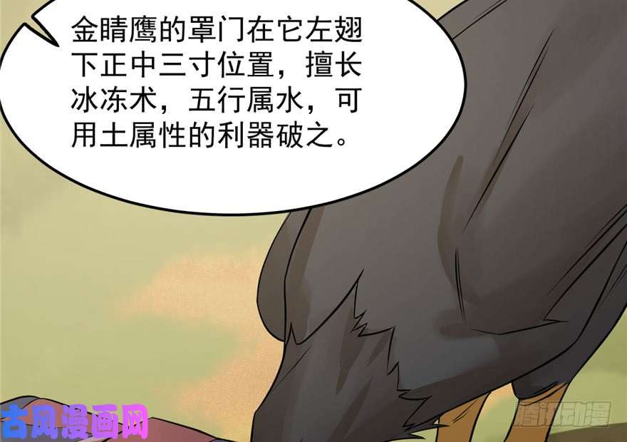 毒步天下：特工神医小兽妃42