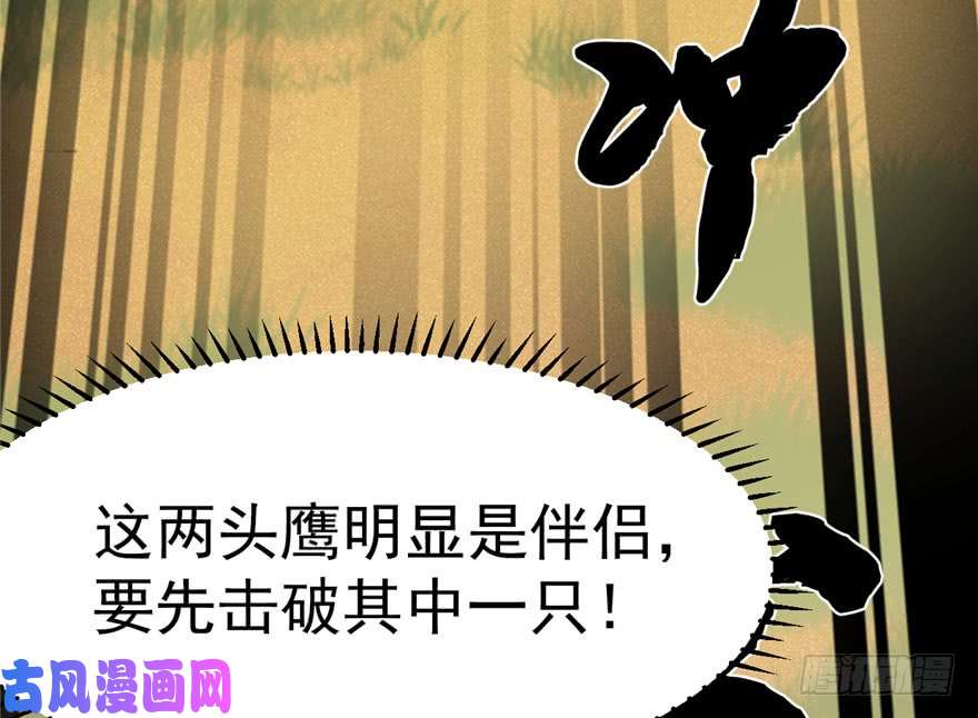 毒步天下：特工神医小兽妃42