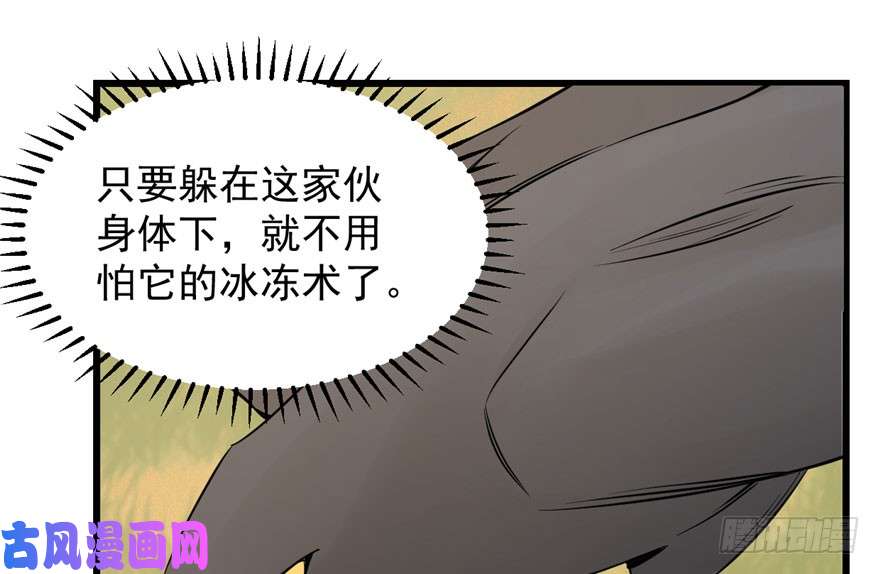 毒步天下：特工神医小兽妃42