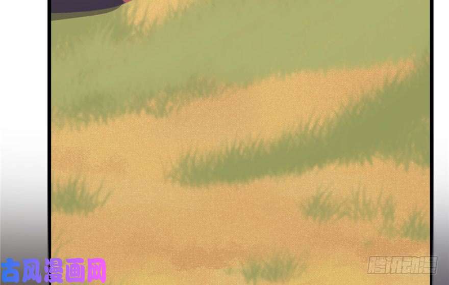 毒步天下：特工神医小兽妃42