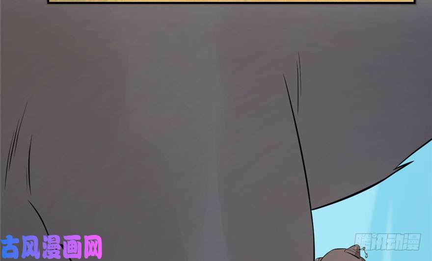 毒步天下：特工神医小兽妃42