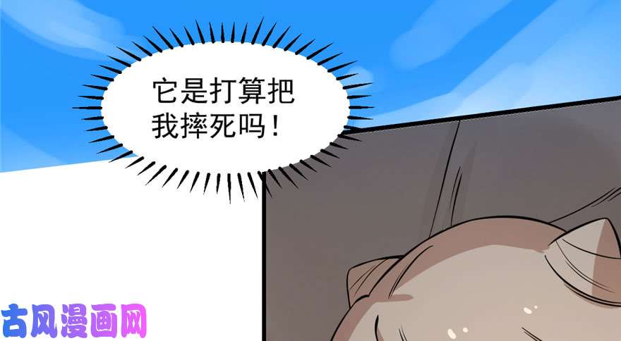 毒步天下：特工神医小兽妃42