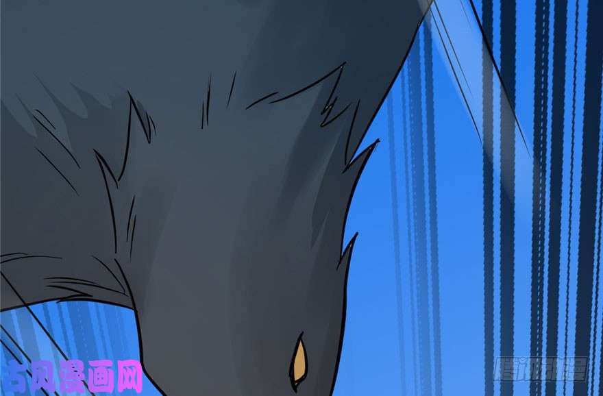 毒步天下：特工神医小兽妃42