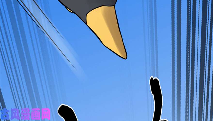 毒步天下：特工神医小兽妃42