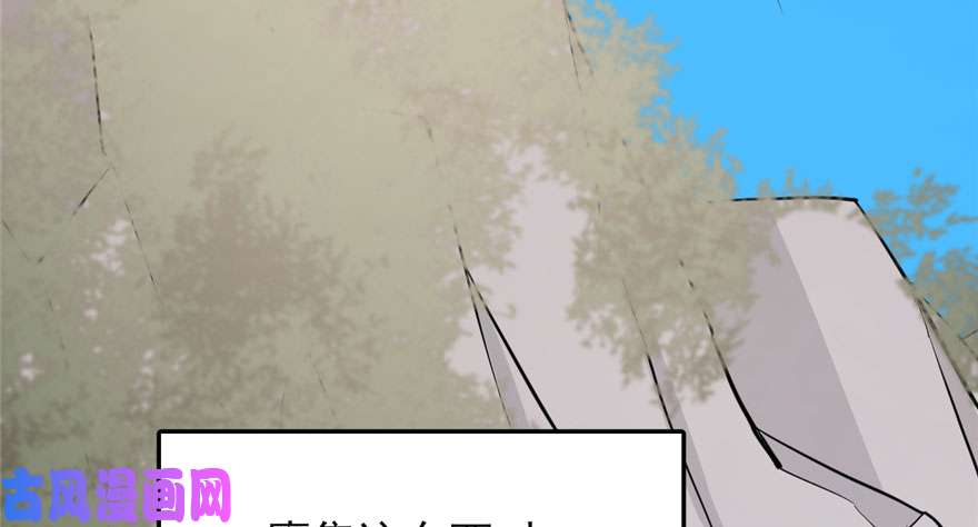 毒步天下：特工神医小兽妃42