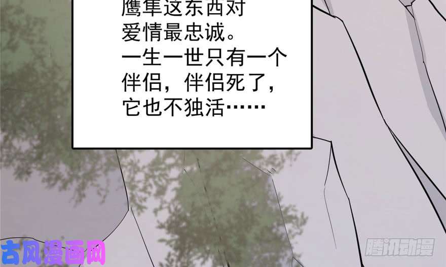 毒步天下：特工神医小兽妃42