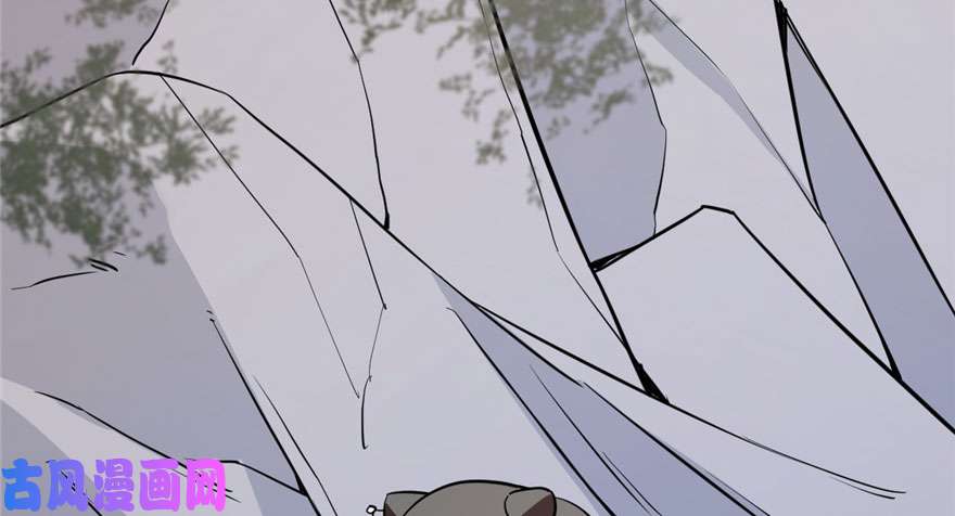 毒步天下：特工神医小兽妃42