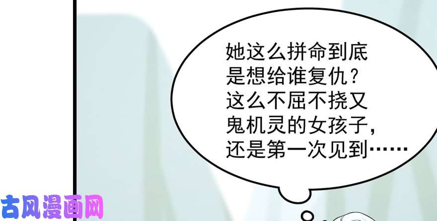 毒步天下：特工神医小兽妃42