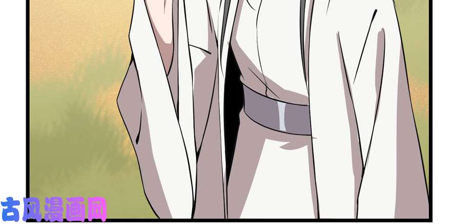 毒步天下：特工神医小兽妃42