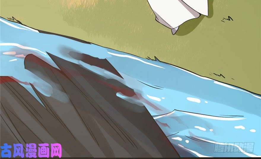 毒步天下：特工神医小兽妃42