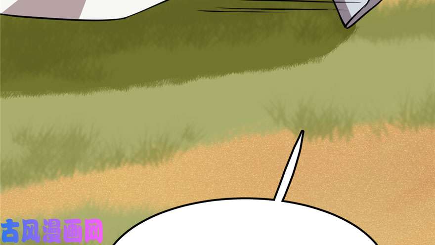 毒步天下：特工神医小兽妃42