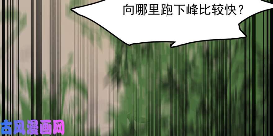 毒步天下：特工神医小兽妃43