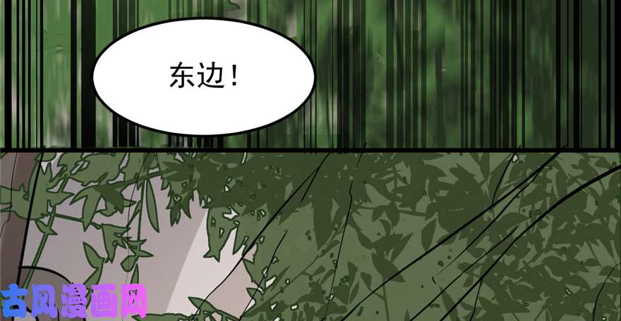 毒步天下：特工神医小兽妃43