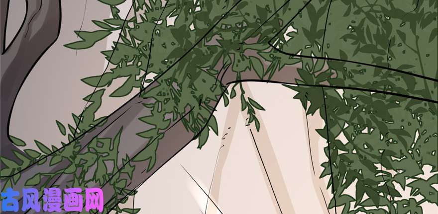 毒步天下：特工神医小兽妃43