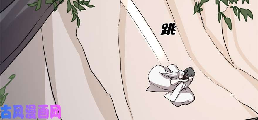 毒步天下：特工神医小兽妃43