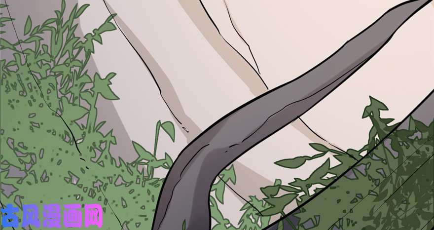 毒步天下：特工神医小兽妃43