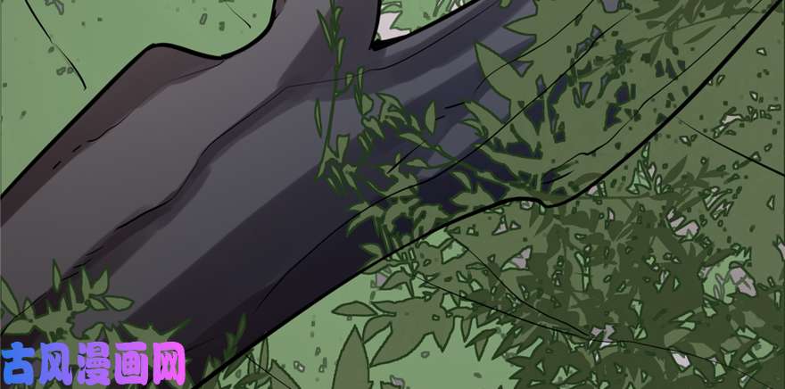 毒步天下：特工神医小兽妃43