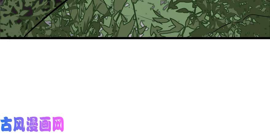 毒步天下：特工神医小兽妃43