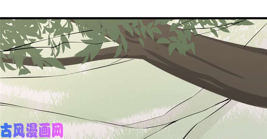 毒步天下：特工神医小兽妃43