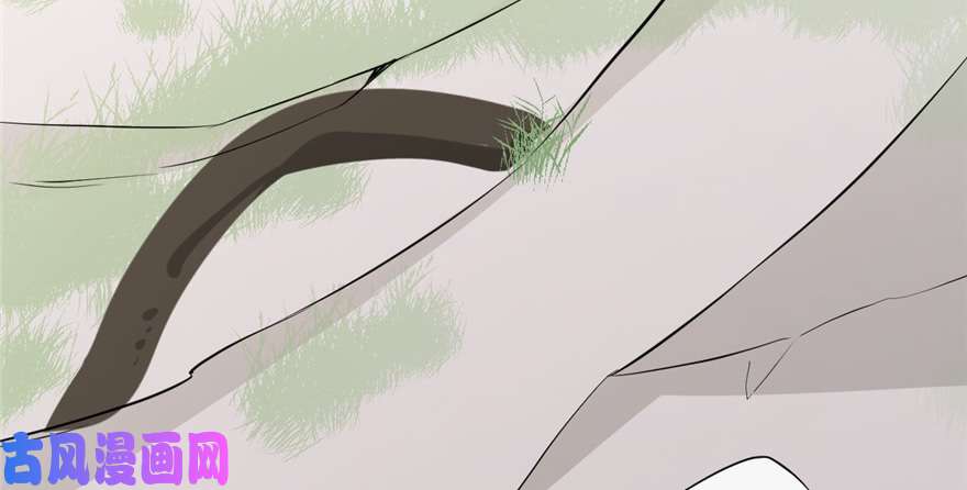 毒步天下：特工神医小兽妃43