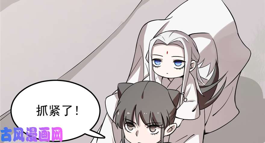 毒步天下：特工神医小兽妃43