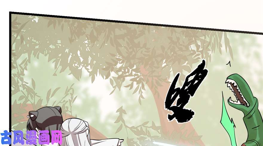 毒步天下：特工神医小兽妃43