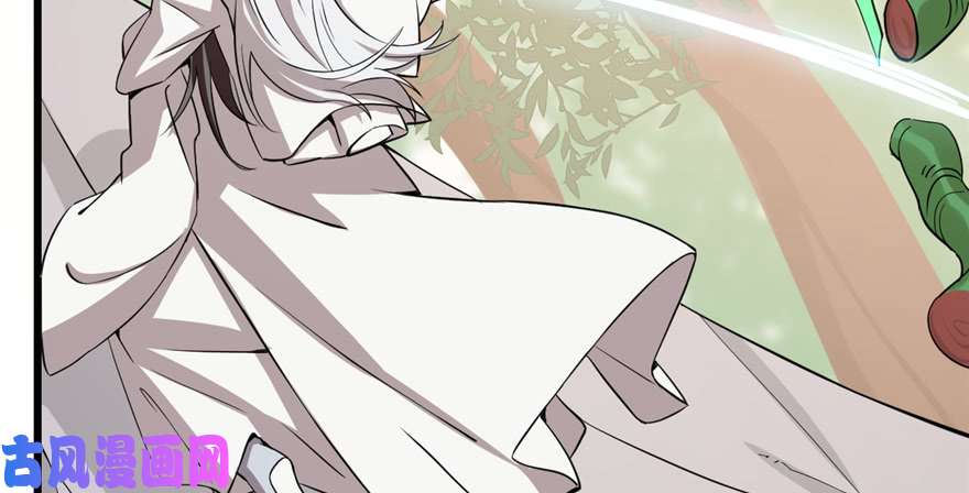 毒步天下：特工神医小兽妃43