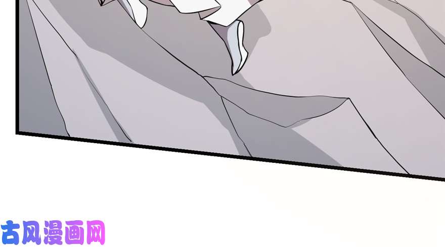 毒步天下：特工神医小兽妃43