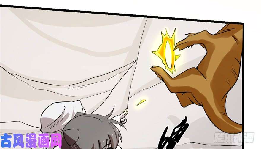 毒步天下：特工神医小兽妃43