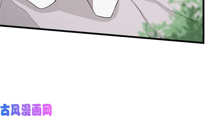 毒步天下：特工神医小兽妃43