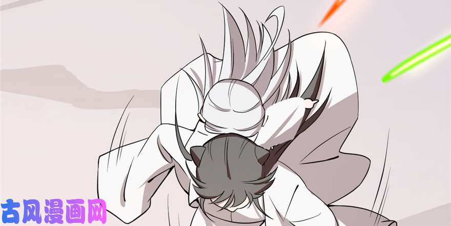 毒步天下：特工神医小兽妃43