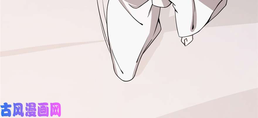 毒步天下：特工神医小兽妃43