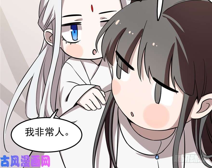 毒步天下：特工神医小兽妃43