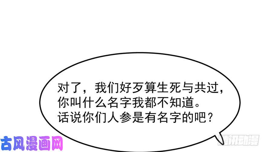 毒步天下：特工神医小兽妃43