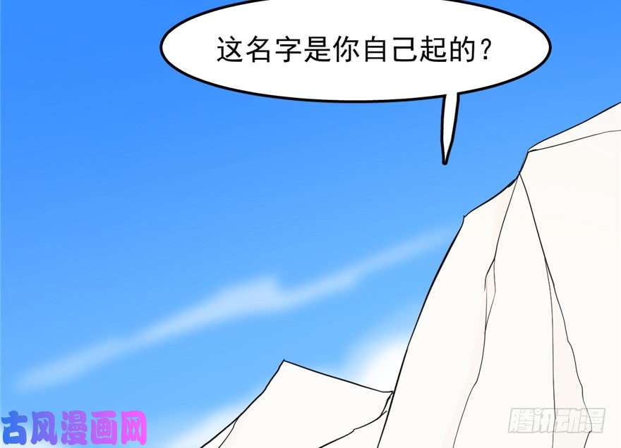 毒步天下：特工神医小兽妃43