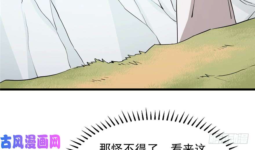 毒步天下：特工神医小兽妃43