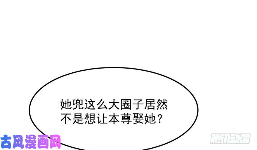 毒步天下：特工神医小兽妃43