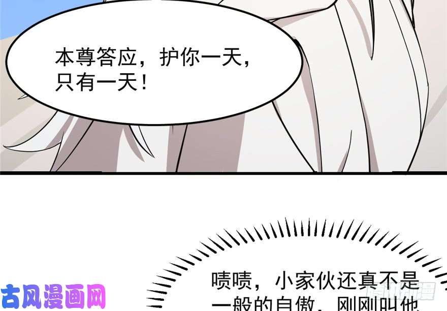 毒步天下：特工神医小兽妃43