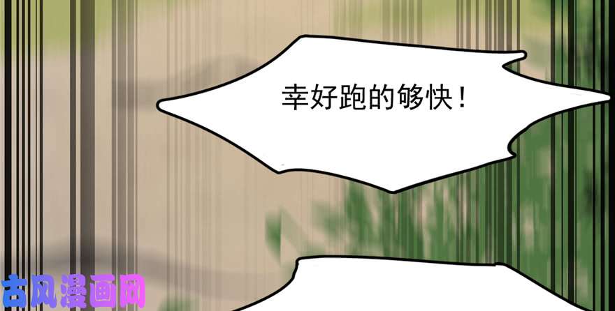 毒步天下：特工神医小兽妃43