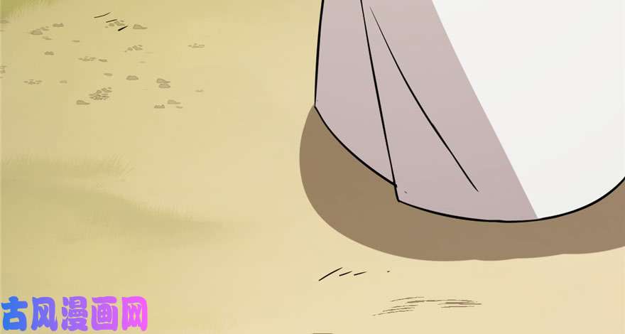 毒步天下：特工神医小兽妃44