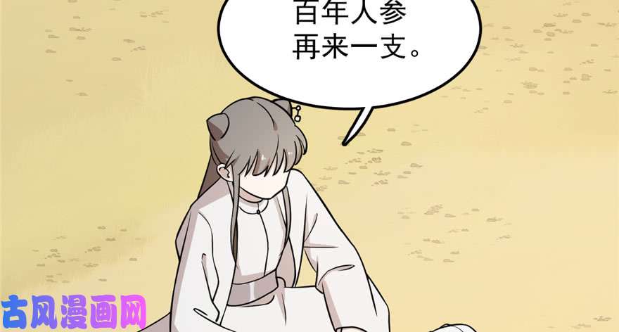 毒步天下：特工神医小兽妃44